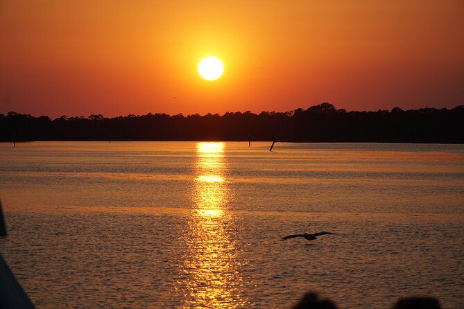 Dolphin and Nature Sunset Cruise from Orange Beach - Key Highlights to Know Before You Book