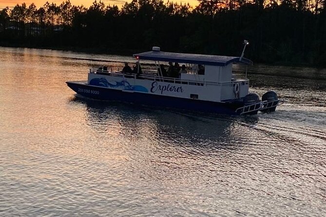 Dolphin and Nature Sunset Cruise from Orange Beach - Dolphins and Wildlife You Can Expect, Plus What to Watch For