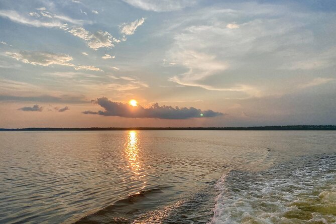 Dolphin and Nature Sunset Cruise from Orange Beach - Practical Tips That Help You Have a Better Cruise