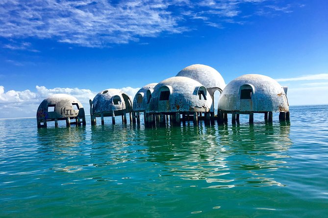 Dolphin and Shelling Cruise for up to 12 people - Snorkeling notes: what you might expect in the shallows