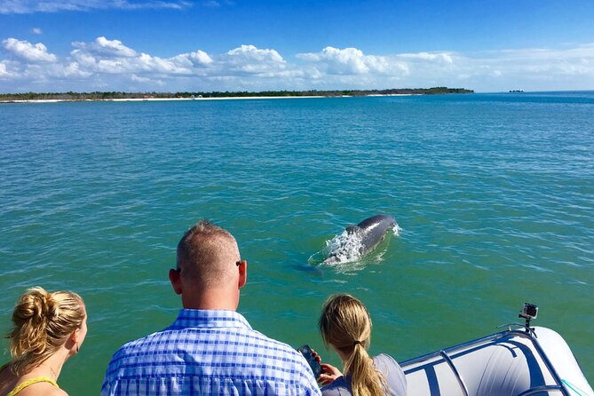 Dolphin and Shelling Cruise for up to 12 people - Who this cruise is best for