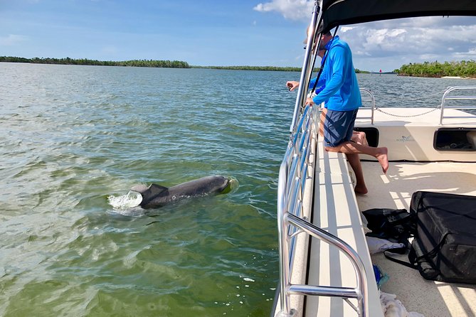 Dolphin and Shelling Cruise for up to 12 people - Price and value: does $109 make sense?