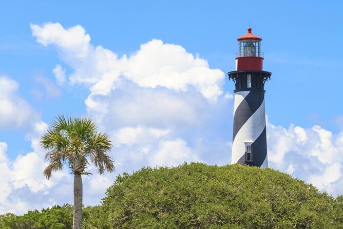 Dolphin and Wildlife Adventure of St. Augustine - Key takeaways before you go