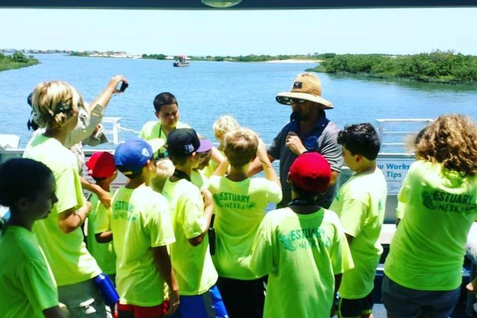 Dolphin and Wildlife Adventure of St. Augustine - Why this dolphin cruise feels so easygoing on the Intracoastal