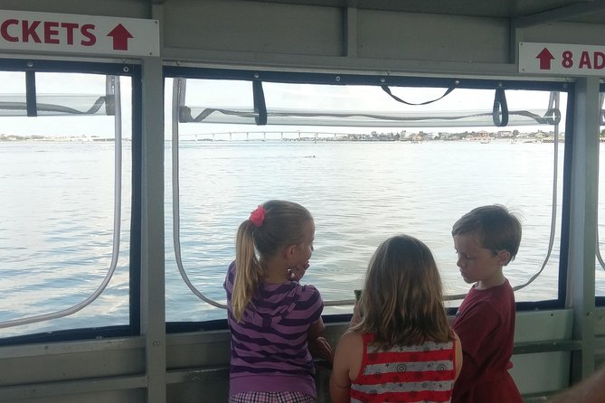Dolphin and Wildlife Adventure of St. Augustine - What the naturalist narration adds (and why it matters)