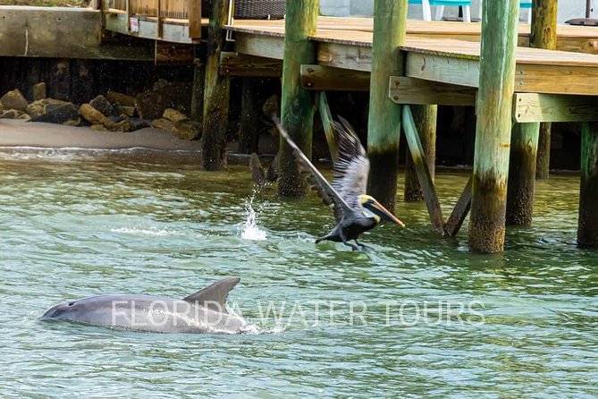 Dolphin and Wildlife Adventure of St. Augustine - Boat comfort details that make or break the ride