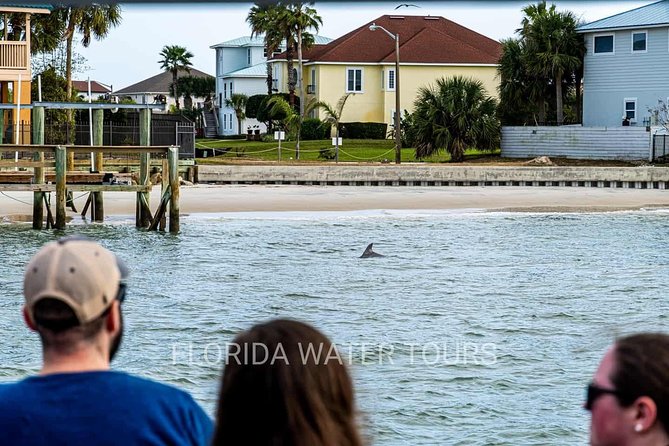 Dolphin and Wildlife Adventure of St. Augustine - St. Augustine on the water is also about the pace