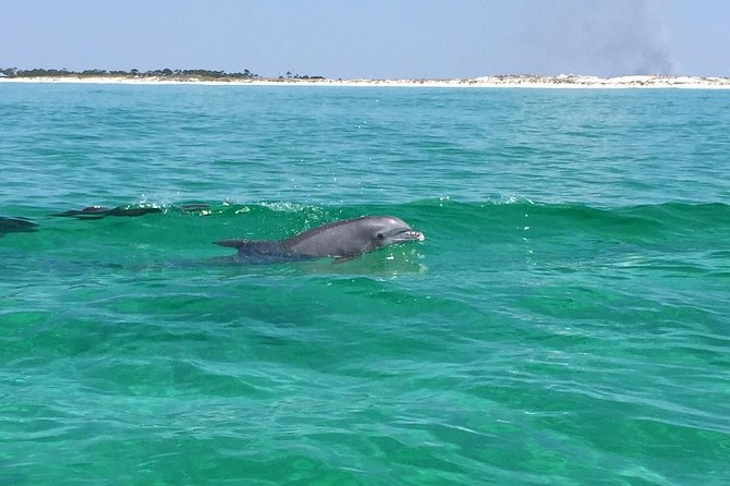 Dolphin Cruise in Destin FL - The Route You Cover in About an Hour, HarborWalk to East Pass