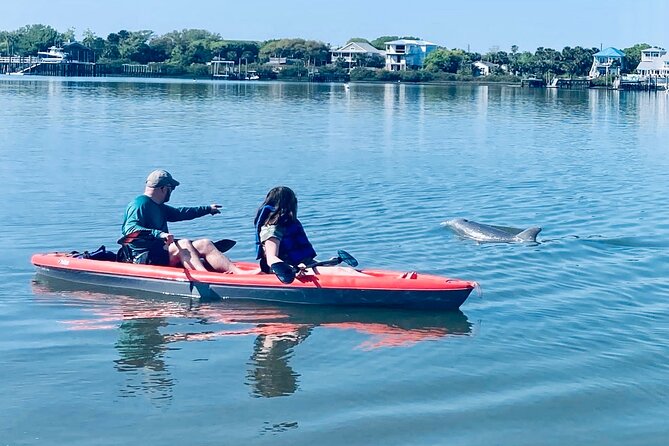 Dolphin, Manatee and SeaTurtle SUP Adventure Tour of St Augustine - Key things to know before you paddle