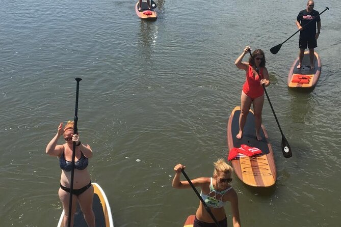 Dolphin, Manatee and SeaTurtle SUP Adventure Tour of St Augustine - Wildlife odds: dolphins, sea turtles, and the West Indian manatee