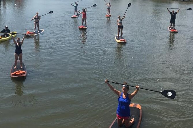Dolphin, Manatee and SeaTurtle SUP Adventure Tour of St Augustine - Comfort, safety, and how the guides shape the whole trip
