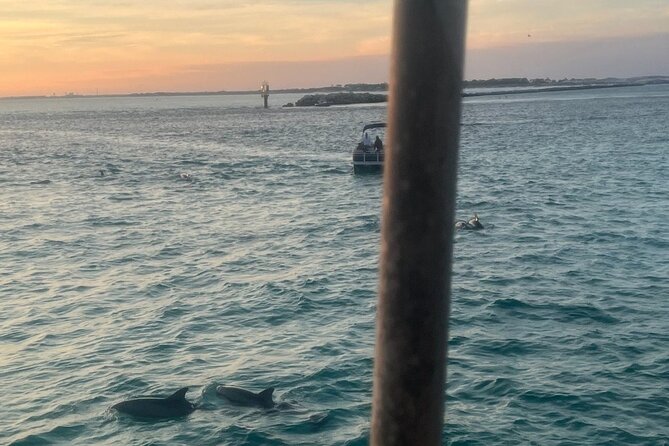Dolphin & Sunset Cruises - Key highlights before you go