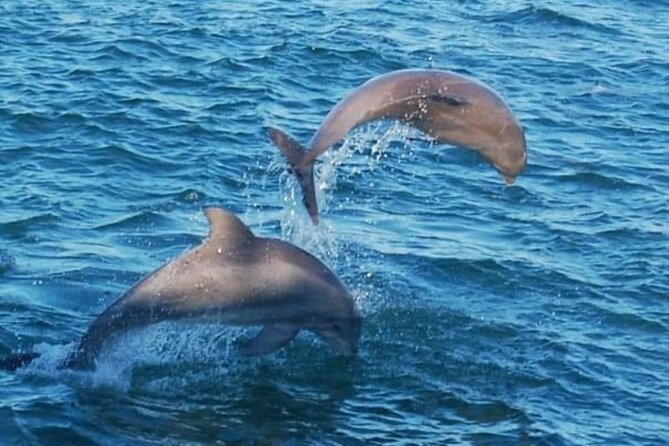 Dolphin & Sunset Cruises - Sunset views, indoor comfort, and what to wear