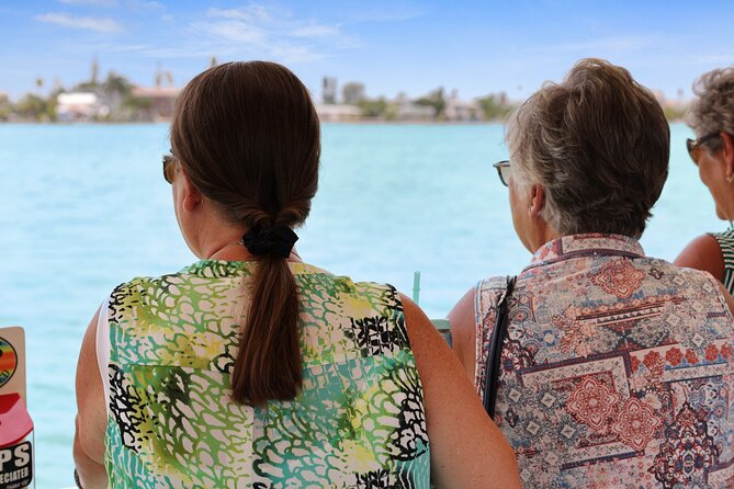 Dolphin Watching/Eco Cruise, John's Pass, Madeira Bch, FL - Madeira Beach Vibes Without the Stress