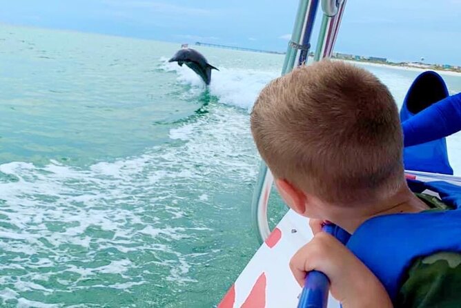 Dolphin-Watching Speedboat Cruise in Destin Harbor - Key highlights worth knowing