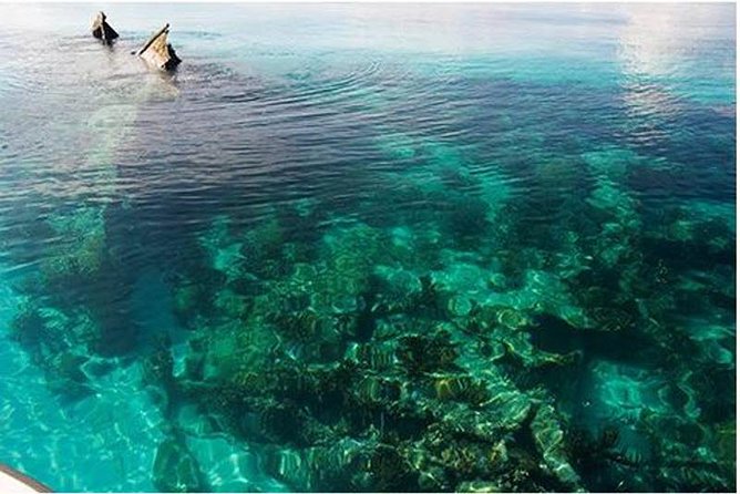 Dry Tortugas National Park Day Trip by Catamaran from Key West - Key highlights to know before you go