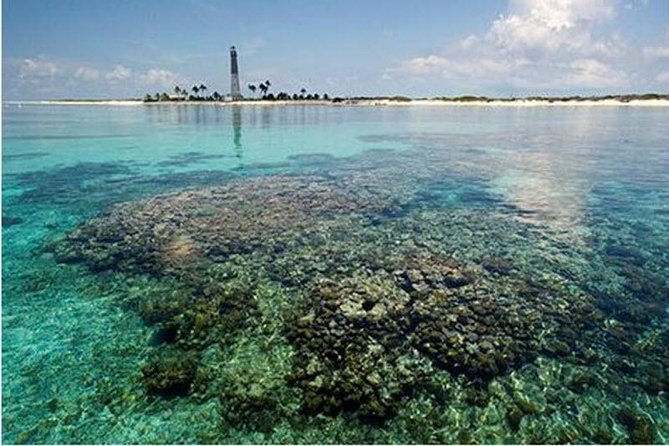 Dry Tortugas National Park Day Trip by Catamaran from Key West - Price and value: what $220 buys you on a far-off island day