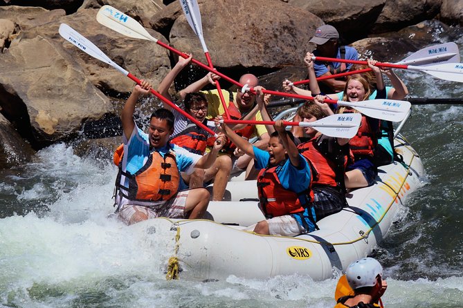 Durango Half Day Rafting Trip - Lower Animas River - Quick highlights before you go