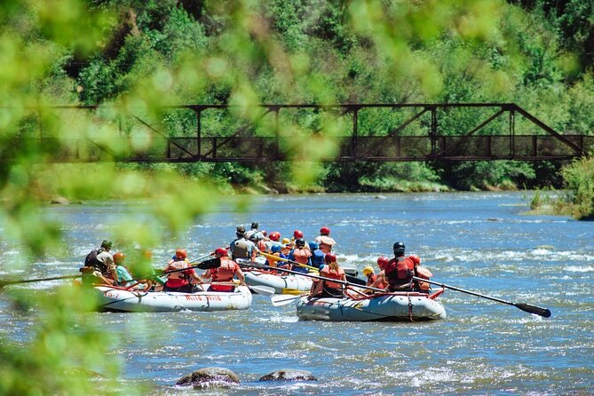 Durango Half Day Rafting Trip - Lower Animas River - Timing choices: morning or afternoon, and what that means for your day
