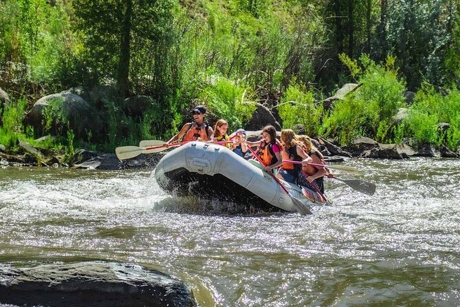 Durango Half Day Rafting Trip - Lower Animas River - Price and value: what $107.91 gets you, and what it costs extra