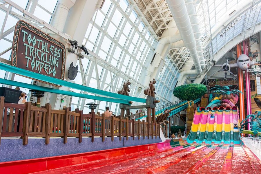 East Rutherford: Dreamworks Indoor Water Park Entry Ticket - Kiddie kingdom, family adventures, and why this park works for mixed ages