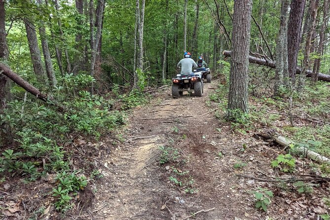East Tennessee Off Road ATV Guided Experience - The Optional Mud Hole: Fun If Conditions Cooperate