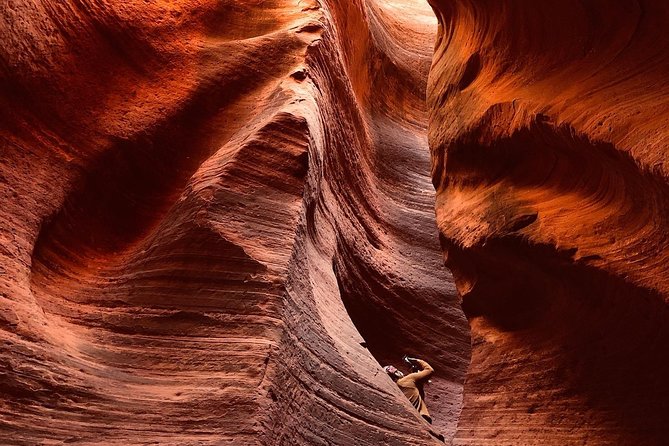 East Zion 2.5 Hour Slot Canyon Canyoneering UTV Tour - Key Highlights at a Glance
