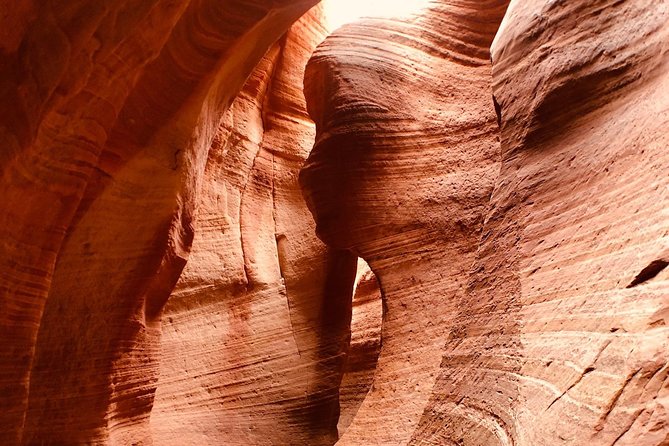 East Zion 2.5 Hour Slot Canyon Canyoneering UTV Tour - From UTV Ride to Slot Canyon Steps