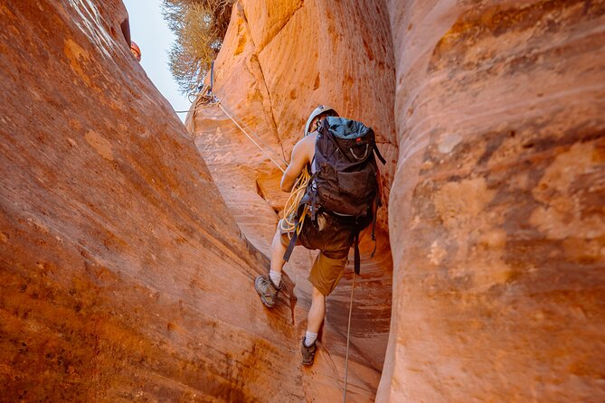 East Zion: Coral Sands Half-day Canyoneering Tour - Price and value: is $177.58 for 4.5 hours worth it?