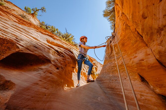 East Zion: Coral Sands Half-day Canyoneering Tour - Who should book this East Zion canyoneering tour?