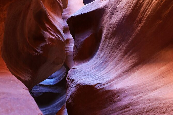 East Zion Crimson Canyon Hike & UTV Adventure - Price and value for a 2-hour UTV plus slot canyon day