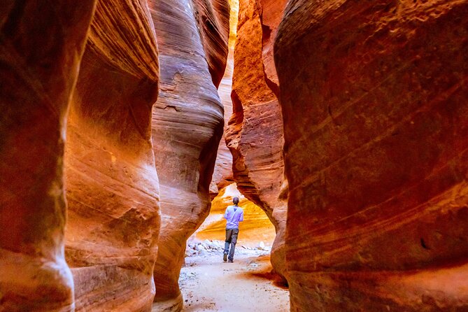 East Zion Crimson Canyon Hike & UTV Adventure - Photo stops you do not have to fight for
