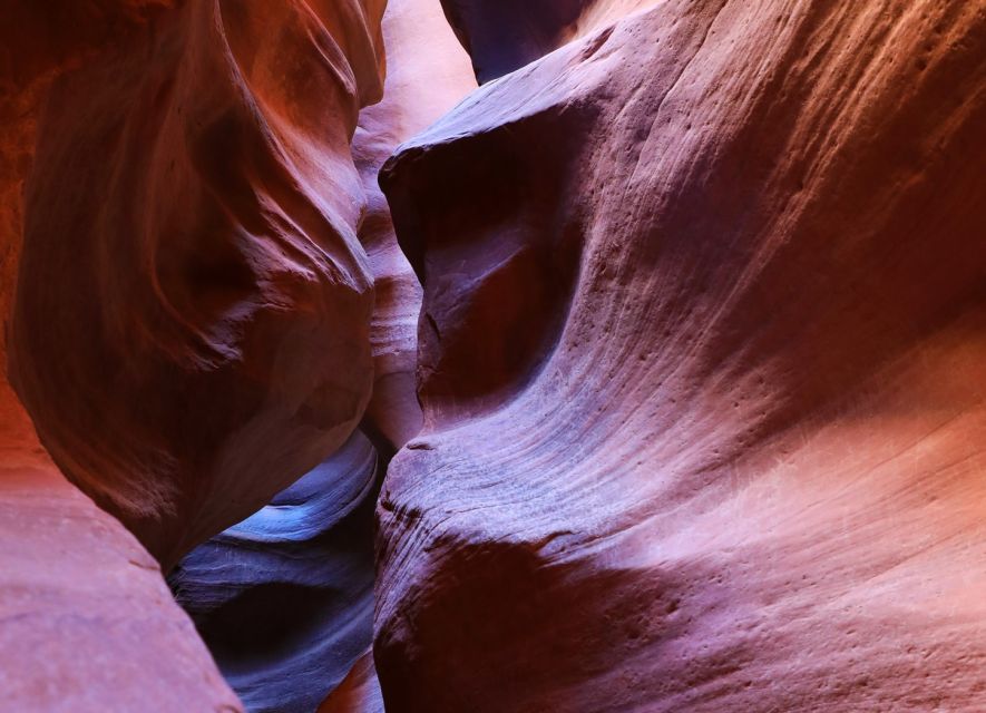East Zion: Crimson Slot Canyon Exploration and UTV Tour - UTV Off-Road Fun: Thrill, Comfort, and What to Expect from the Ride