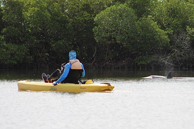 Easy Ride Pedal Kayak Tour Marco Island & Naples (Pedal or Paddle - Mangrove tunnels of Marco Island: why this route feels different