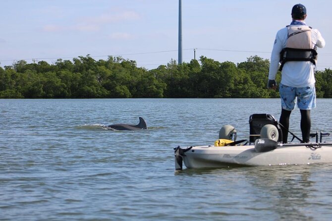 Easy Ride Pedal Kayak Tour Marco Island & Naples (Pedal or Paddle - The rhythm of the tour: time on the water plus a cooling moment