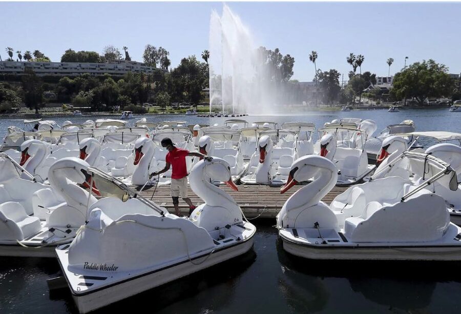 Echo Park Lake: Swan Pedal Boat Rental - Key points to know before you go