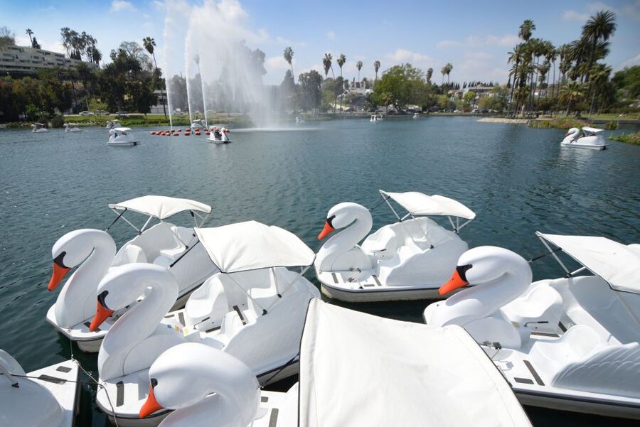 Echo Park Lake: Swan Pedal Boat Rental - Your ride route in plain terms: fountain, lotus beds, and skyline views