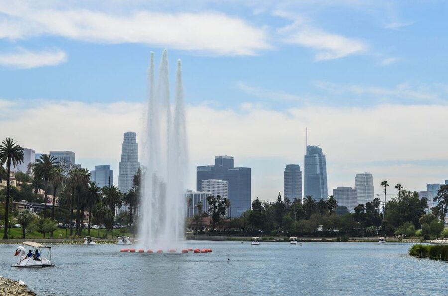 Echo Park Lake: Swan Pedal Boat Rental - Practical tips for your best hour on Echo Park Lake