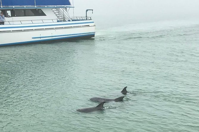 Eco and Dolphin Watch Tour of South Padre Island - Route views you do not get from a beach walk