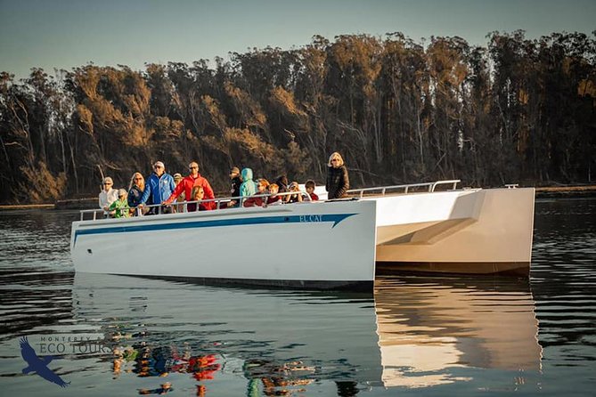 Elkhorn Slough Wildlife Tour - What the Electric Catamaran Ride Feels Like