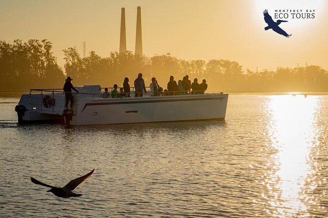 Elkhorn Slough Wildlife Tour - Wildlife-Spotting That Works, Even If You Are Not an Expert