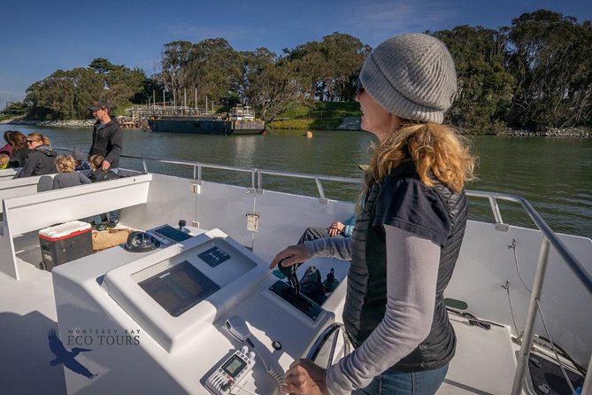 Elkhorn Slough Wildlife Tour - Who This Tour Suits Best