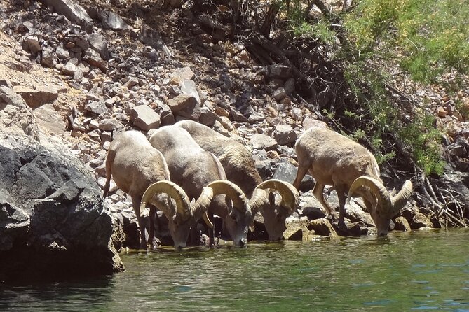 Emerald Cave & Black Canyon Kayak Tour with Vegas Pickup - What to Wear and Bring, So You Don’t Spend the Day Thinking About Gear