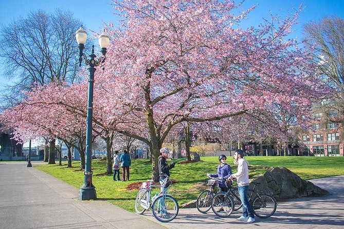 Essential Portland Oregon Bike and E-Bike Tour! - Old Town and Chinatown: Portland’s story starts with the street grid