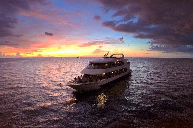 Evening Yacht Cruise with Optional Dining in St. Petersburg - Key Takeaways Before You Go