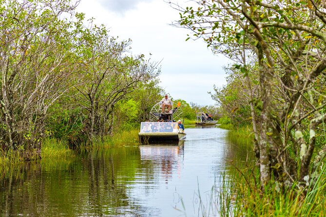 Everglades Airboat Safari Adventure with Transportation - Wildlife Expectations: Real Nature, Not a Zoo Ticket