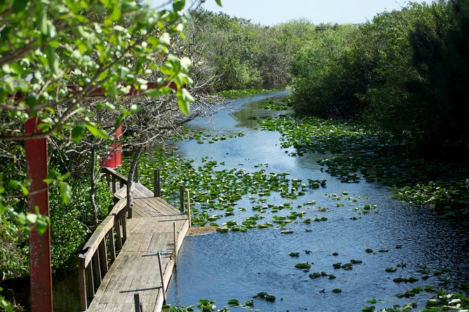 Everglades Airboat, Wildlife Show, and Roundtrip Bus From Miami - Price and value at about $49.20 per person