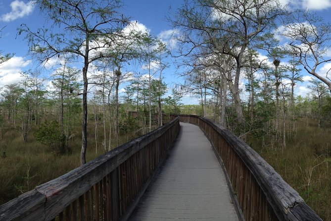 Everglades Day Safari from Ft Lauderdale - Ten Thousand Islands Mangrove Cruise for Manatees, Dolphins, and Birds