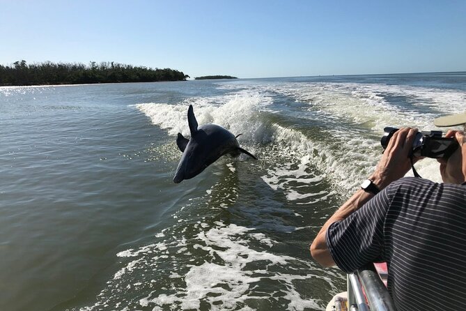 Everglades Day Safari from Ft Lauderdale - Airboat Time in Sawgrass and Pond Apple Country