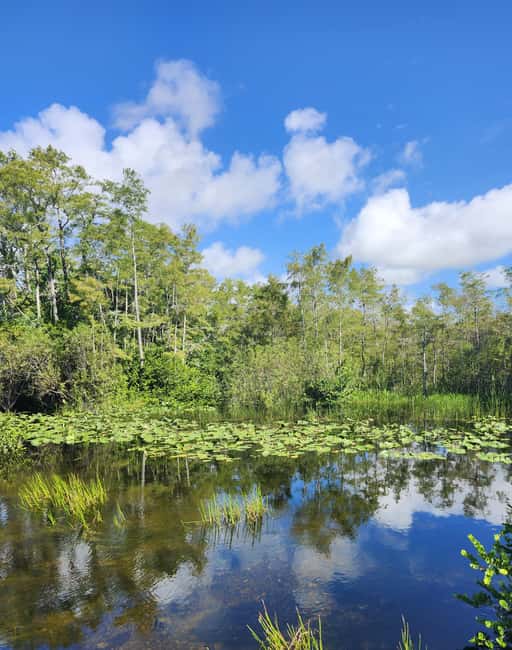 Everglades Eco Airboat Small-Group Tour & 2 Private Islands - Key Things I’d Put at the Top of Your List